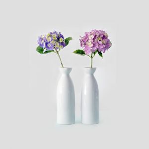 Beautiful white vases